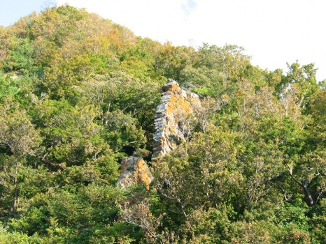 makitumi